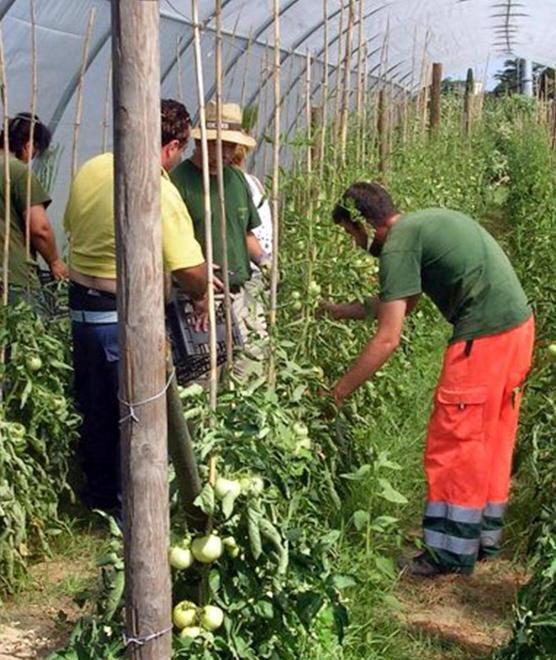Maremma sud, sos lavoro Anche la stagione è in crisi 