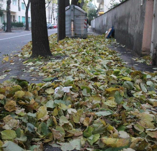 Si contano i danni dopo la tempesta di vento 