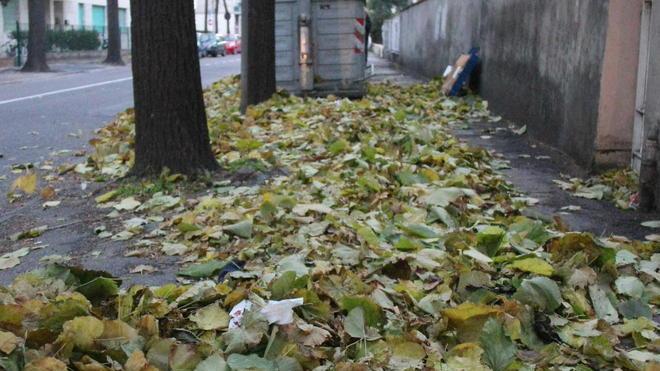 Si contano i danni dopo la tempesta di vento
