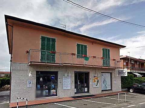Rapinatore porta via 300 paia d’occhiali 