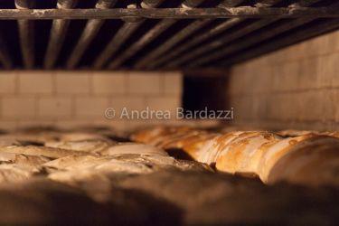 Dai campi di grano al pane nelle foto di Bardazzi 