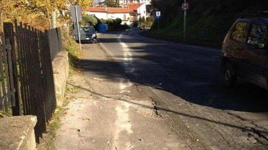 Bus schiva un cane e finisce contro il muro