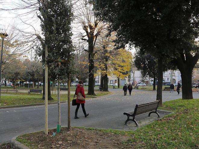 Centocinquanta alberi piantati nei parchi pubblici