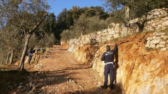 Due strade abusive sulle colline di Pietrasanta