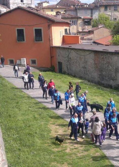 Podismo, due calendari con oltre 100 marce 