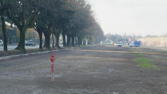 Ora parte la semina sul campo raschiato