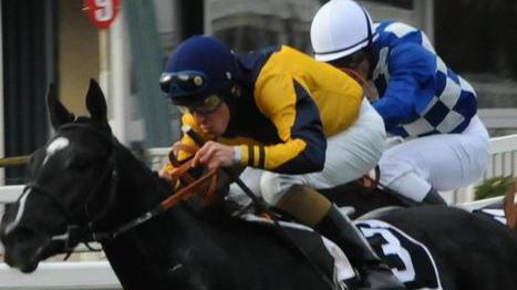 Sette corse a San Rossore al centro il premio Chiodini