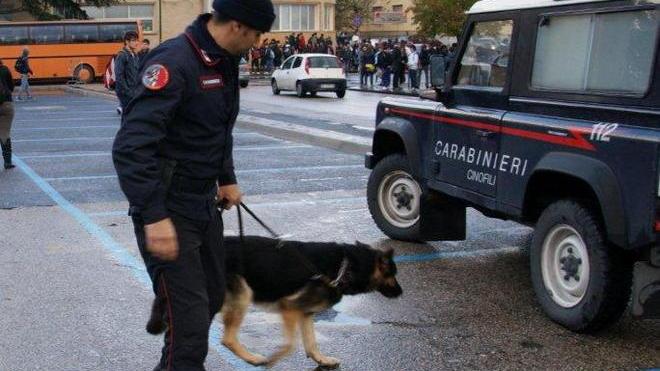 Blitz dei carabinieri con i cani antidroga in tre scuole