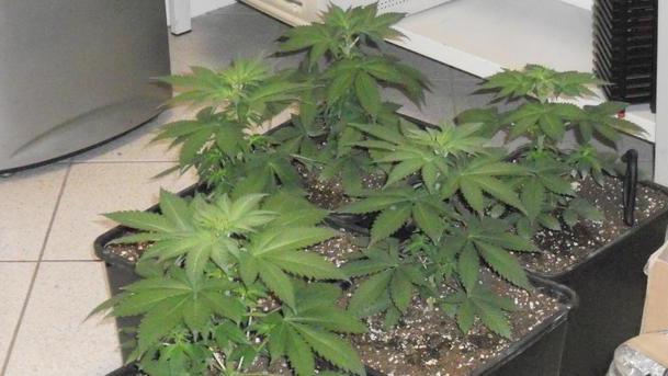 Finanziere postino scopre droga