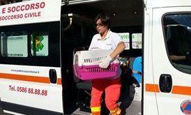 L’ambulanza veterinaria Svs «Il nostro servizio è un successo» 