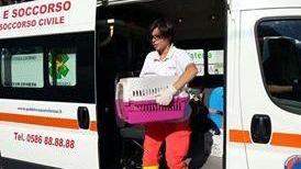 L’ambulanza veterinaria Svs «Il nostro servizio è un successo»