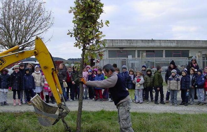 Con nuovi alberi e i bambini al via la rinascita dei parchi