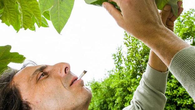 Torna a casa Fabrizio Cinquini, il medico della cannabis