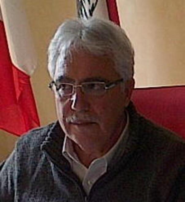 «Quei pini erano pericolosi» 