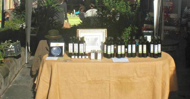 C’è la Festa dell’oro etrusco dedicata all’olio d’oliva