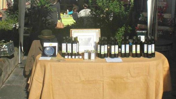 C’è la Festa dell’oro etrusco dedicata all’olio d’oliva