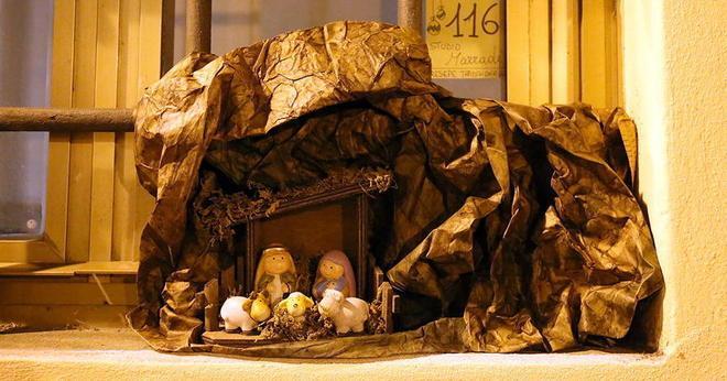 Le pecore graziose dei Marradi