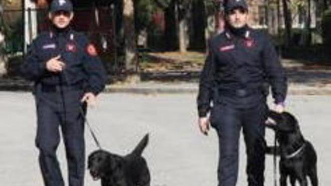 Fuga in auto con incidente uno arrestato, tre scappati
