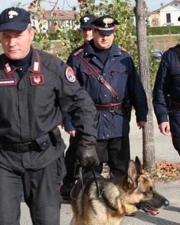 Fugge in auto dopo il furto: fermato 
