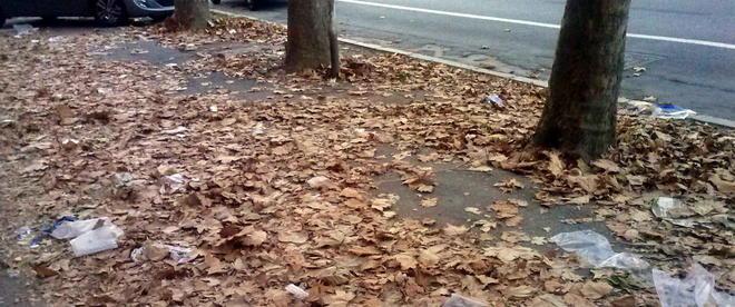 Un tappeto di foglie. Se poi piove... 