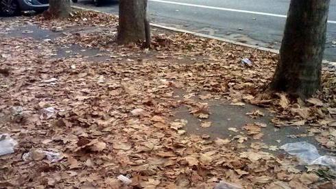 Un tappeto di foglie. Se poi piove...