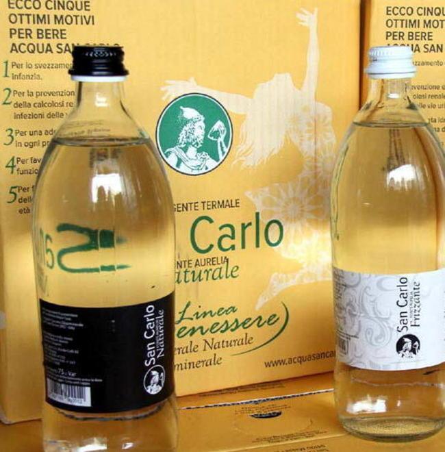 «Salviamo la San Carlo e l’economia montana»