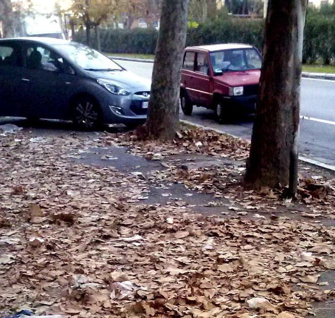 Aamps promette: «Puliremo subito il viale Alfieri»