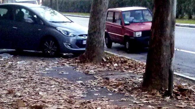 Aamps promette: «Puliremo subito il viale Alfieri»
