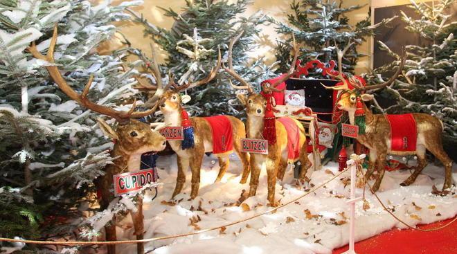 Nella canonica di Palleroso arriva la casa di Babbo Natale 