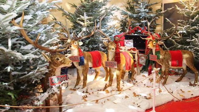 Nella canonica di Palleroso arriva la casa di Babbo Natale
