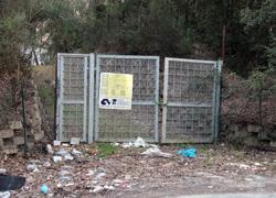 Cimitero per animali nel canile municipale: il bando nei prossimi giorni  
