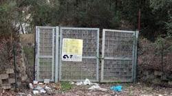 Cimitero per animali nel canile municipale: il bando nei prossimi giorni