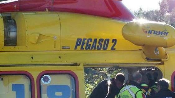 Pegaso vola due volte in Valdicecina
