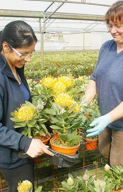 Rimborsi del 36% per i giardini 