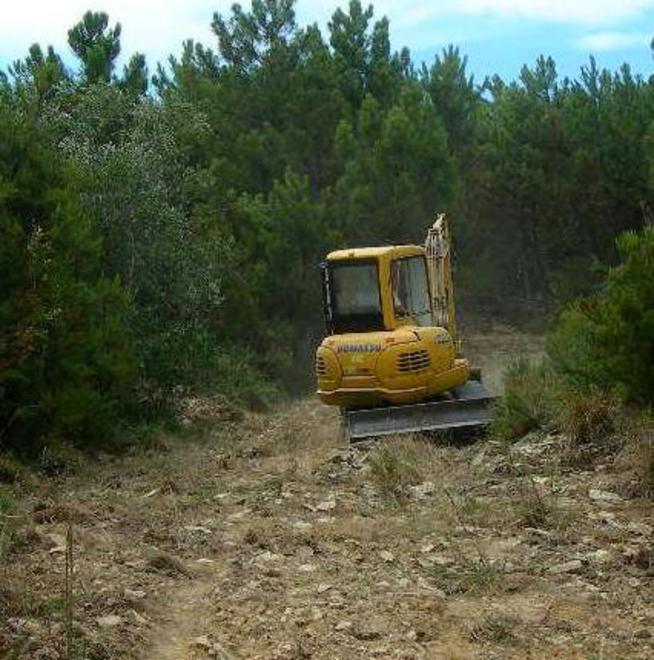Terreni danneggiati da opere di disboscamento