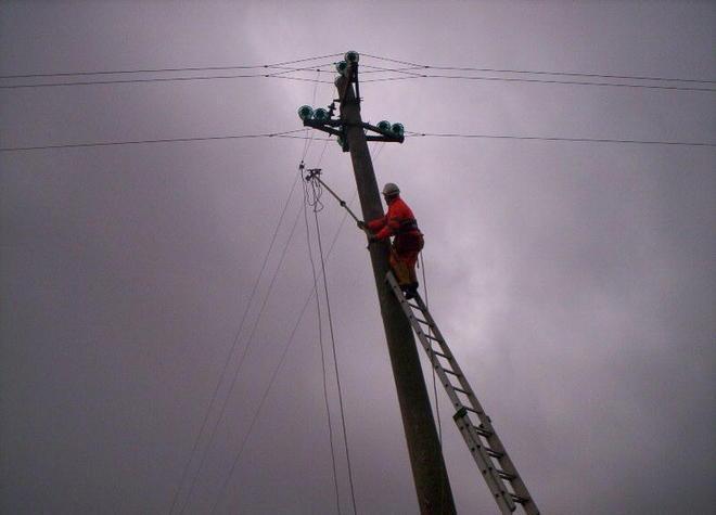 Falchi al sicuro con l’intervento Enel