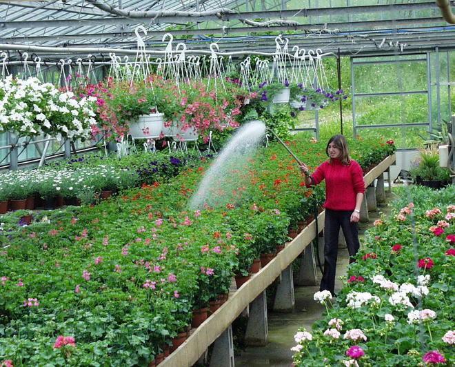 Agrario, l’eccellenza figlia di nessuno 