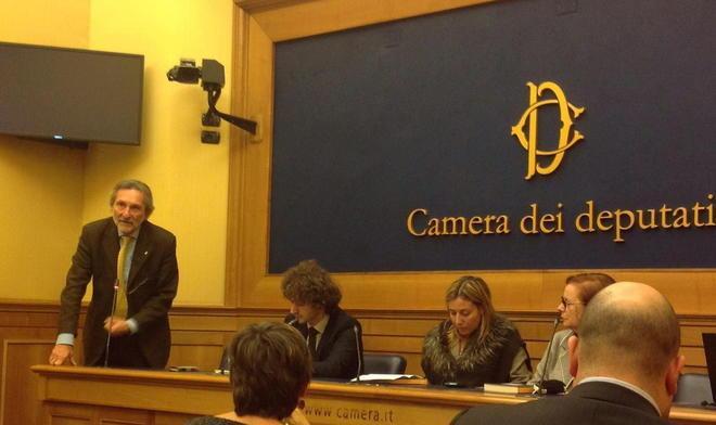 La storia di Anna Lisa Russo alla Camera