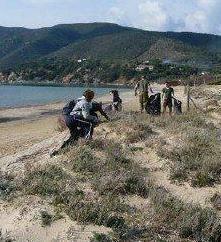 Il 13 gennaio il Parco acquisterà le dune