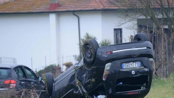 Distrugge l’auto per evitare un animale che attraversa