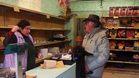 A passeggio e a ristorante Alpaca tenuta come un cane