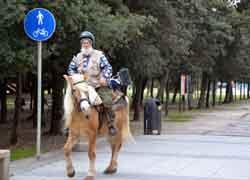 Cavallo in fuga sul viale Italia: ripreso da un cavaliere misterioso 