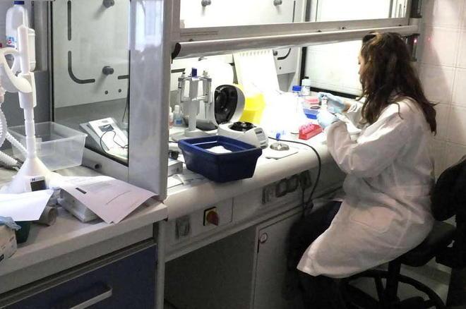 Fondazione per la scienza dieci milioni di contributi 