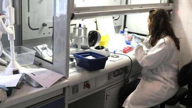 Fondazione per la scienza dieci milioni di contributi