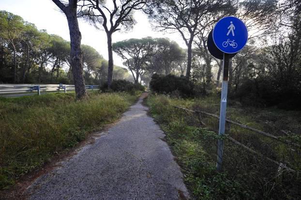 Grosseto: trovato morto a 34 anni sulla pista ciclabile 