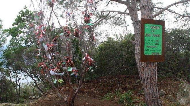 Un albero dei buoni propositi sul sentiero 108 dell’Enfola