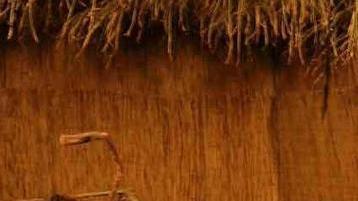 Presepi e concerti, all’isola scoppia la magia del Natale