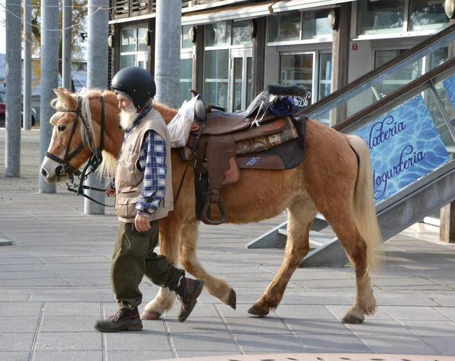 Un cavallo in fuga ripreso sul viale Italia