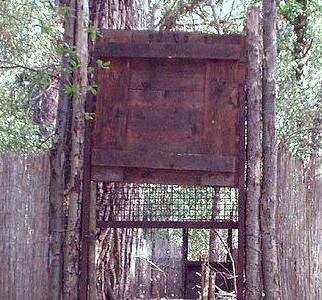 Scatta un piano del Parco dell’Arcipelago contro cinghiali e mufloni 