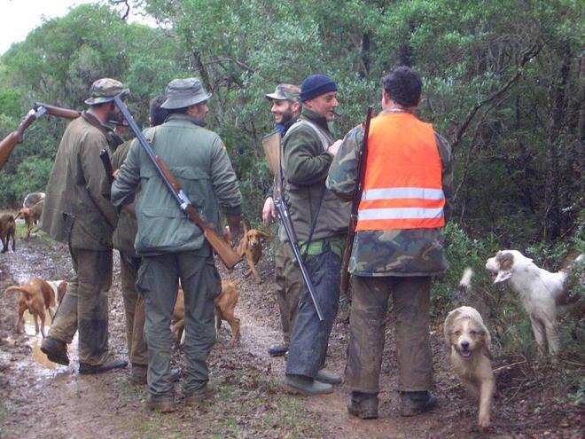 Cacciatore caricato da un cinghiale durante una battuta a Scarlino 